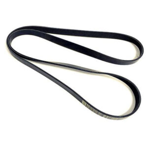 Gates Accessory Belt