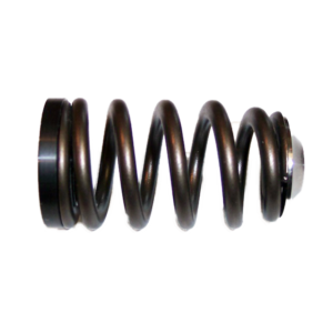 Kiggly Racing Beehive Valve Spring Set